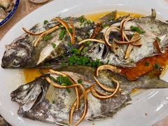 果皮蒸鱼-开记渔邨