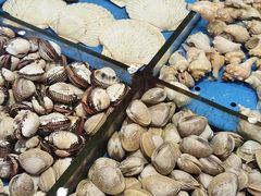 -北塘海鲜·天津菜(大光明桥旗舰店)