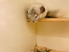 -龙猫仔乐园(惠福东路店)