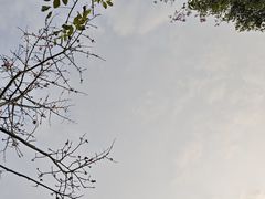 -福田红树林生态公园