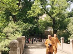 -北京凤凰岭