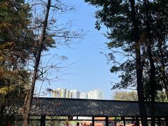 -荔湾湖公园