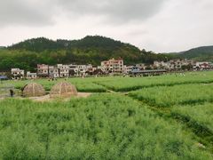 -红山村