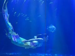 -华夏文旅海洋公园