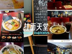 -纪州豚骨酱油拉面(锦延路店)