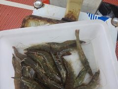 -渔民船说·北塘海鲜·天津菜·海肠捞饭(北塘古镇店)
