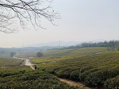 -宜兴龙背山森林公园