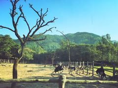 -西安秦岭野生动物园