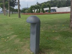 -野狸岛