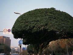 -成飞公园