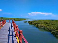 -北海金海湾红树林生态旅游区