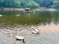 -北岭山森林公园