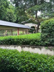 -爱帝宫月子中心(罗湖别墅院)