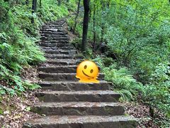 -惠山国家森林公园