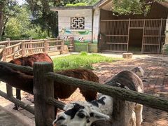 -昆明动物园