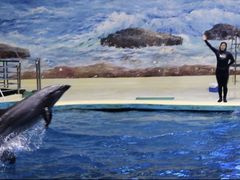 -福州罗源湾海洋世界旅游区