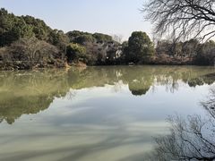 -八大山人梅湖景区