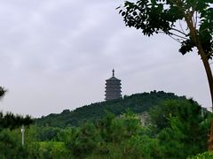 -永定河休闲森林公园