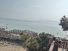 -养马岛旅游度假区