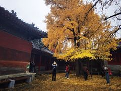 -承恩寺