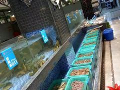 -海派美食·家宴海鲜青岛菜·石锅鲽鱼头(东方城店)