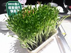 -海底捞火锅(高科广场店)