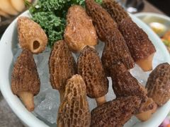 -蘑界·野生菌火锅(深业上城店)