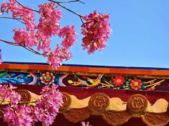 -天竺岩寺