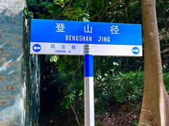 -风云岭森林公园