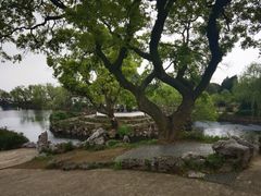 -无锡蠡湖国家湿地公园-蠡园