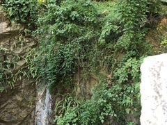 -乌山风景区