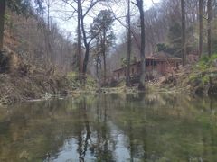 -素山寺森林公园