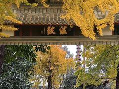-成都市文殊院