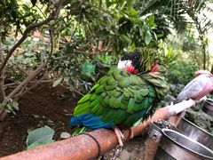 -南宫五洲植物乐园