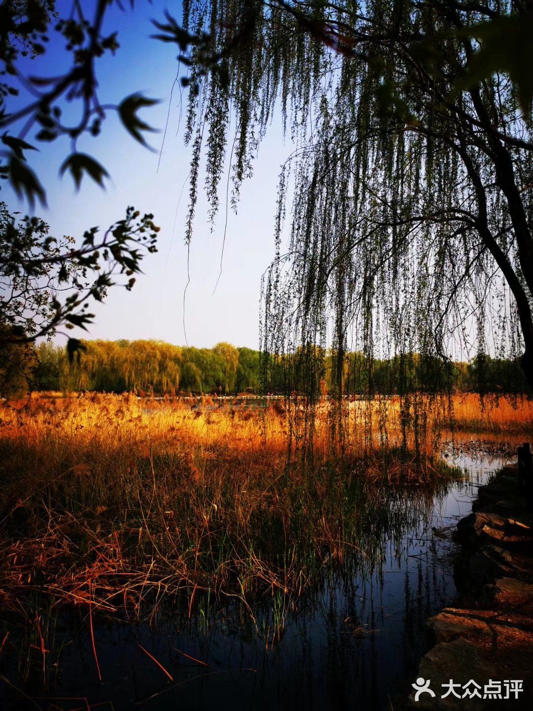 我和闺蜜从北大一条小路走过去,穿过杂草丛生的土路