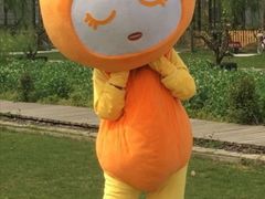 -前小桔亲子创意农场·草莓采摘·露营烧烤