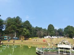 -铁山坪森林公园