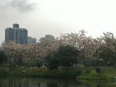 -四海公园(南山区)