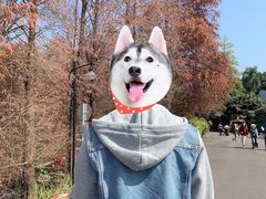 -华南国家植物园-售票处