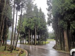 -武陵山森林公园