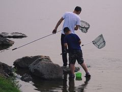 -丁香湖公园