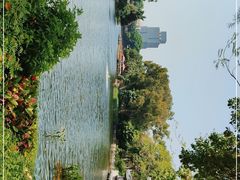 -荔湾湖公园