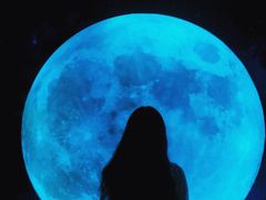 -重庆梵高星空艺术馆(解放碑旗舰店)