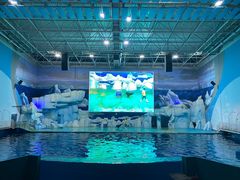 -福州罗源湾海洋世界旅游区