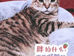 -悦宠动物医院(京丰分院)