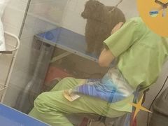 -芭比堂动物医院广州顽皮分院