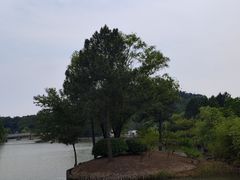 -狼山风景名胜区