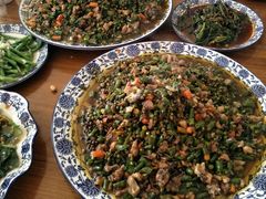 -铁山坪森林公园