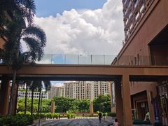 -三亚湾红树林度假世界(木棉酒店)