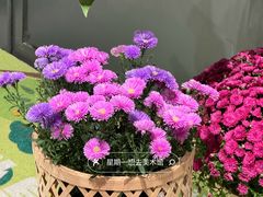 -漕溪路(地铁站)